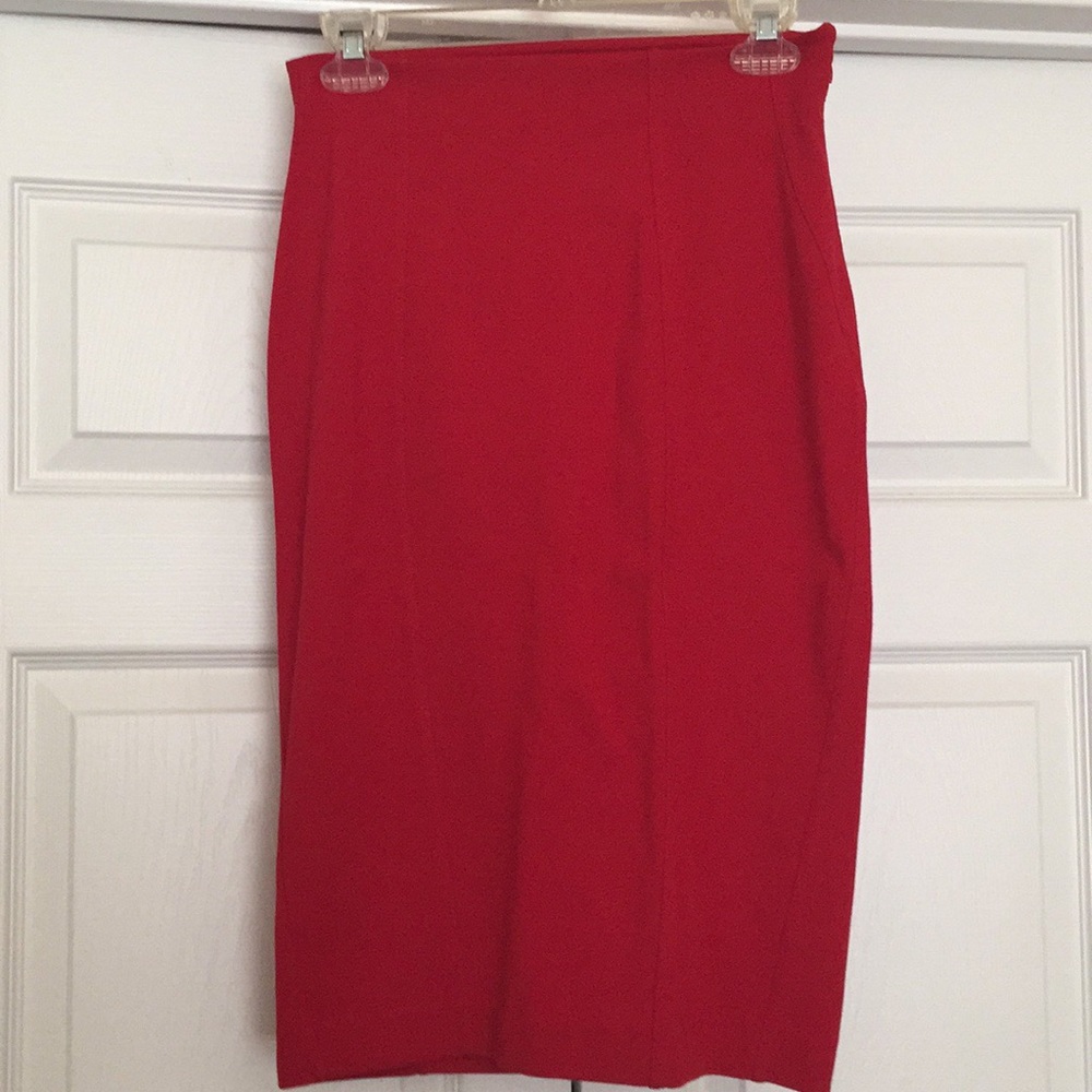 Express Pencil Skirt